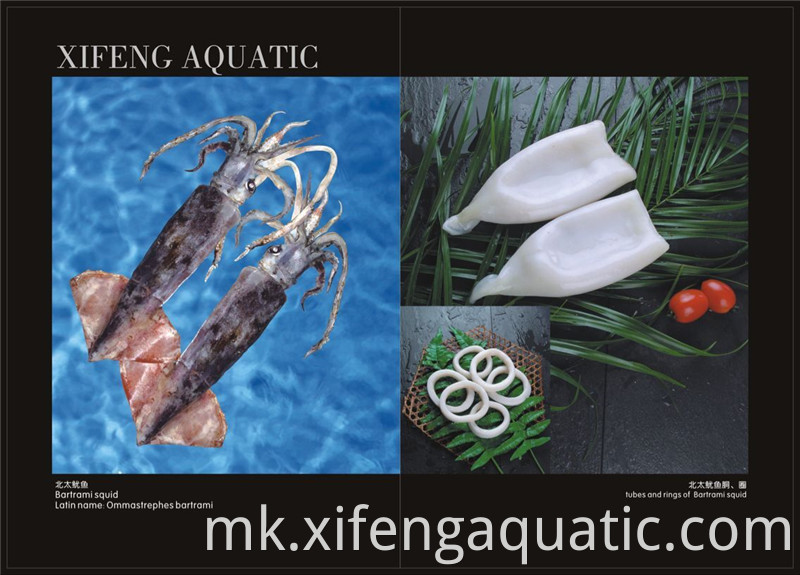 Бартрами лигњи Bartrami Squid